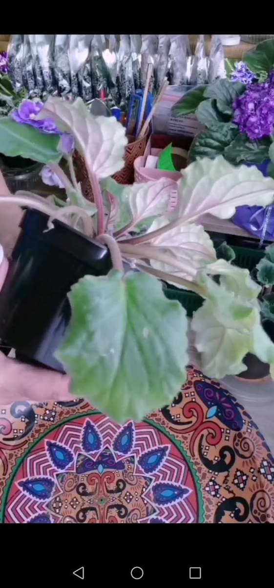 мастер-класс