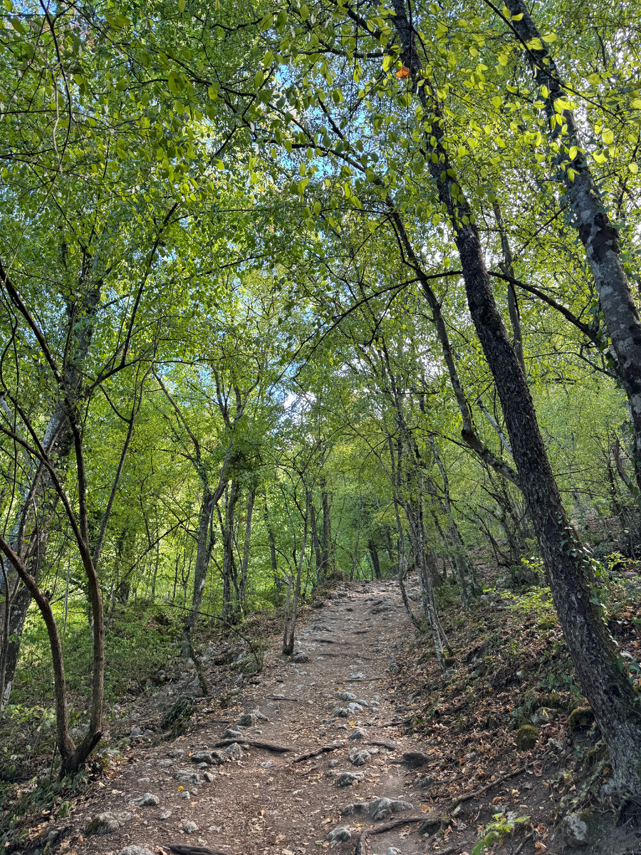 Лесные тропинки доброжелательно встречают в начале пути. 