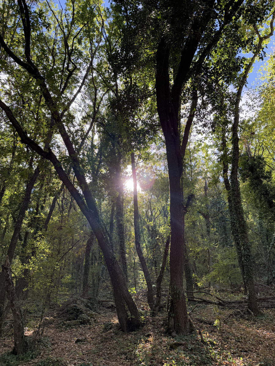 Ласковые лучи солнца уже не так обжигают кожу, как летом. 