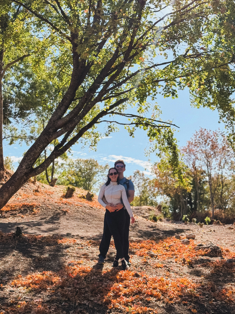 Осенью лес особенно прекрасен! 