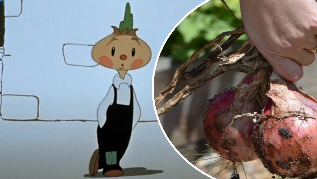 Фото: www.kino-teatr.ru / кадр из мультфильма «Чиполлино» (1961); pxhere.com 