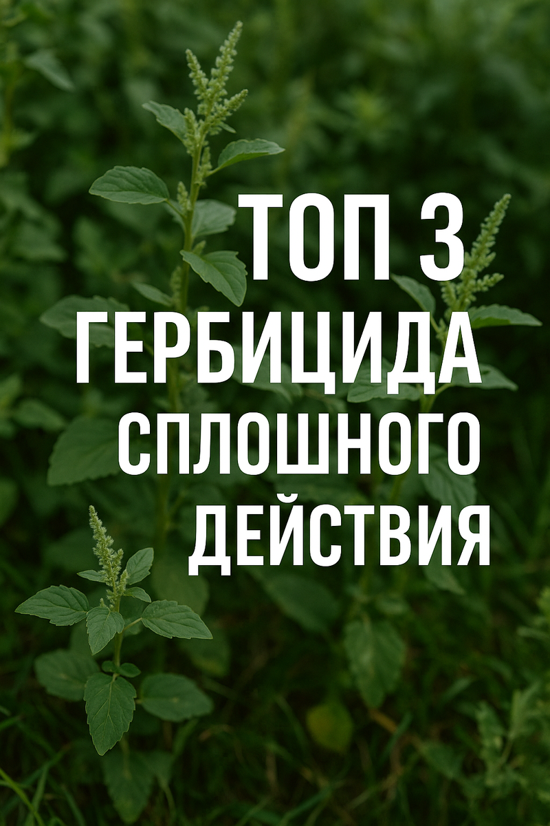 ТОП-3 гербицида сплошного действия