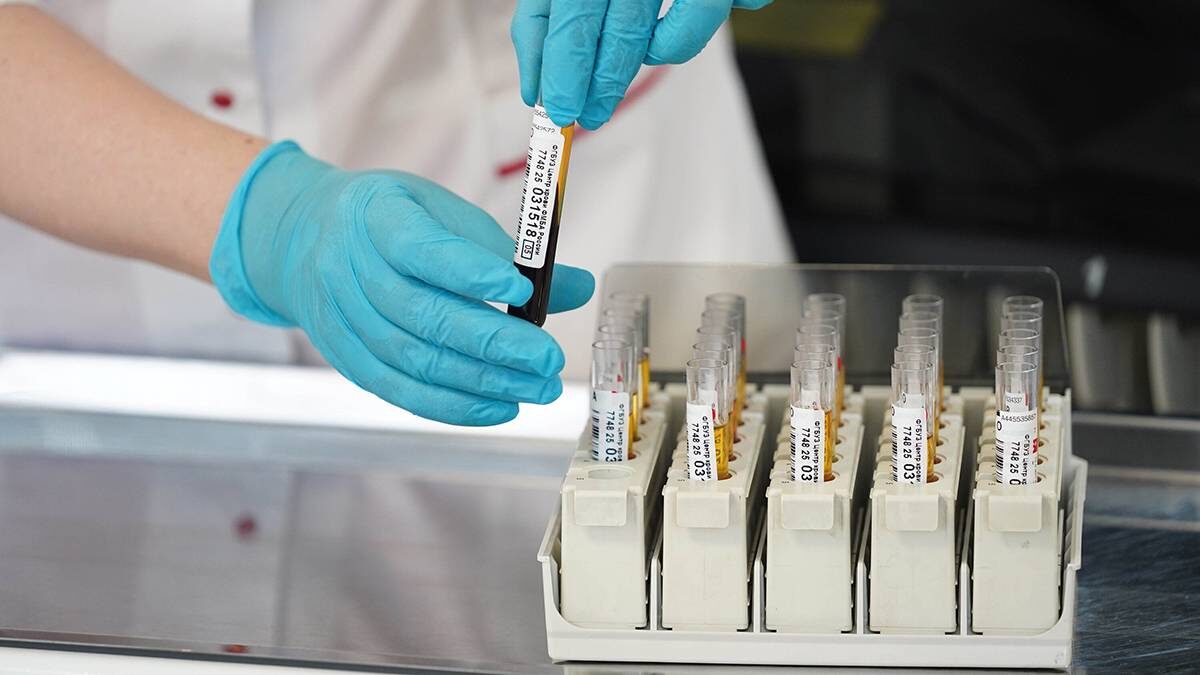    Фото: Александр Авилов / АГН Москва