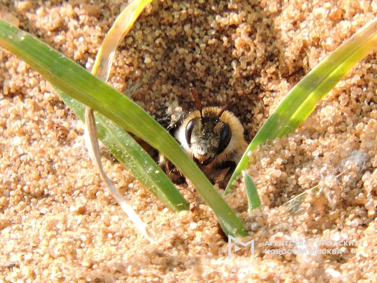 Фото: А. Стефанова