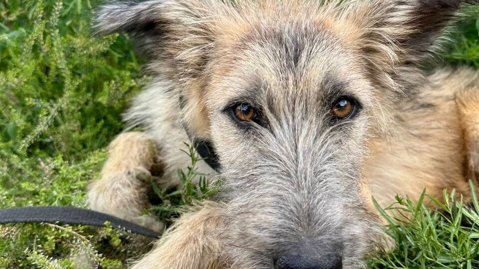 «Заберите обратно! Немедленно!» ❗ПОСТ-ШАНС ❗