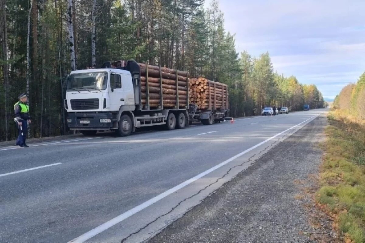    Под Волчанском водитель грузовика из Югры переехал человека и скрылся