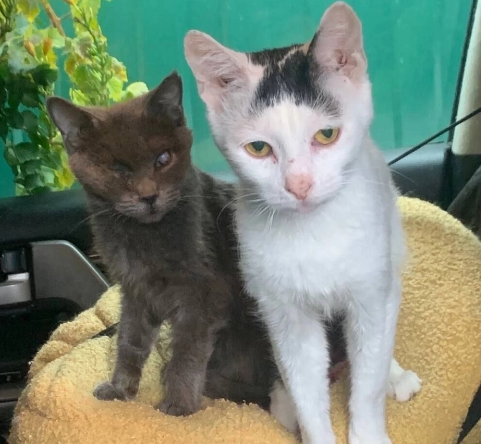    Фото: Из личного архивa/ Татьяна Макарова