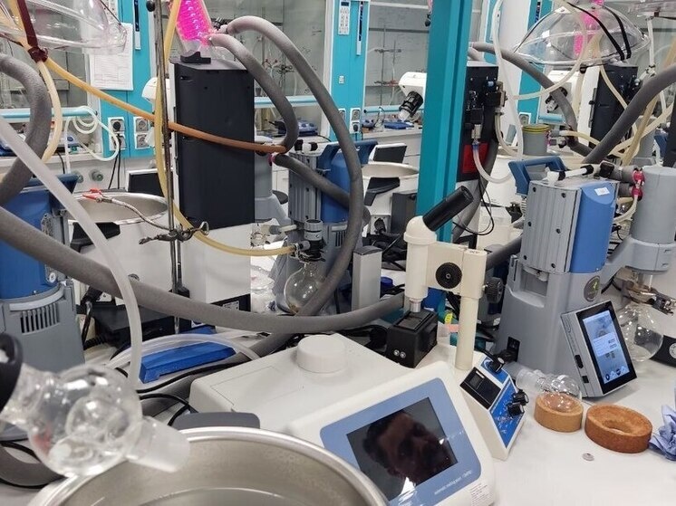     Петербургские школьники опробуют новые маршруты научно-образовательного туризма. Фото из архива "МК в Питере"