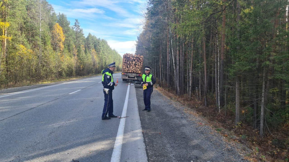     Фото: ГИБДД Свердловской области