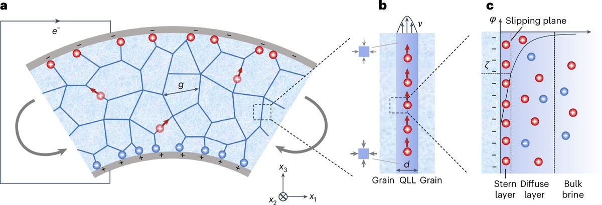 Механизм потоковой флексоэлектричности. Источник: www.nature.com