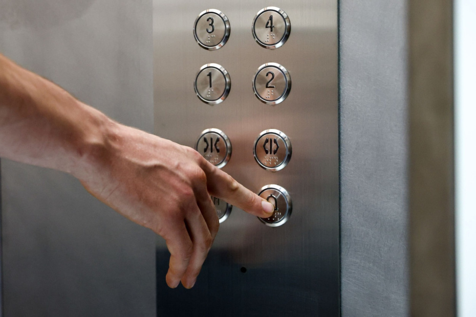    Наталья Шатохина/NEWS.ru