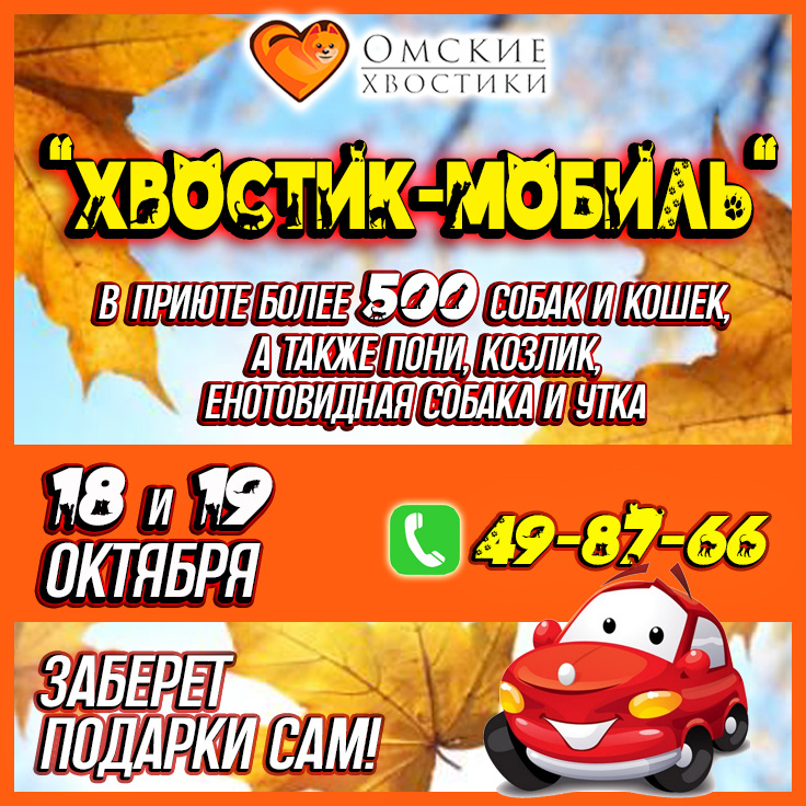 500 хвостиков с нетерпением ждут вашей поддержки!