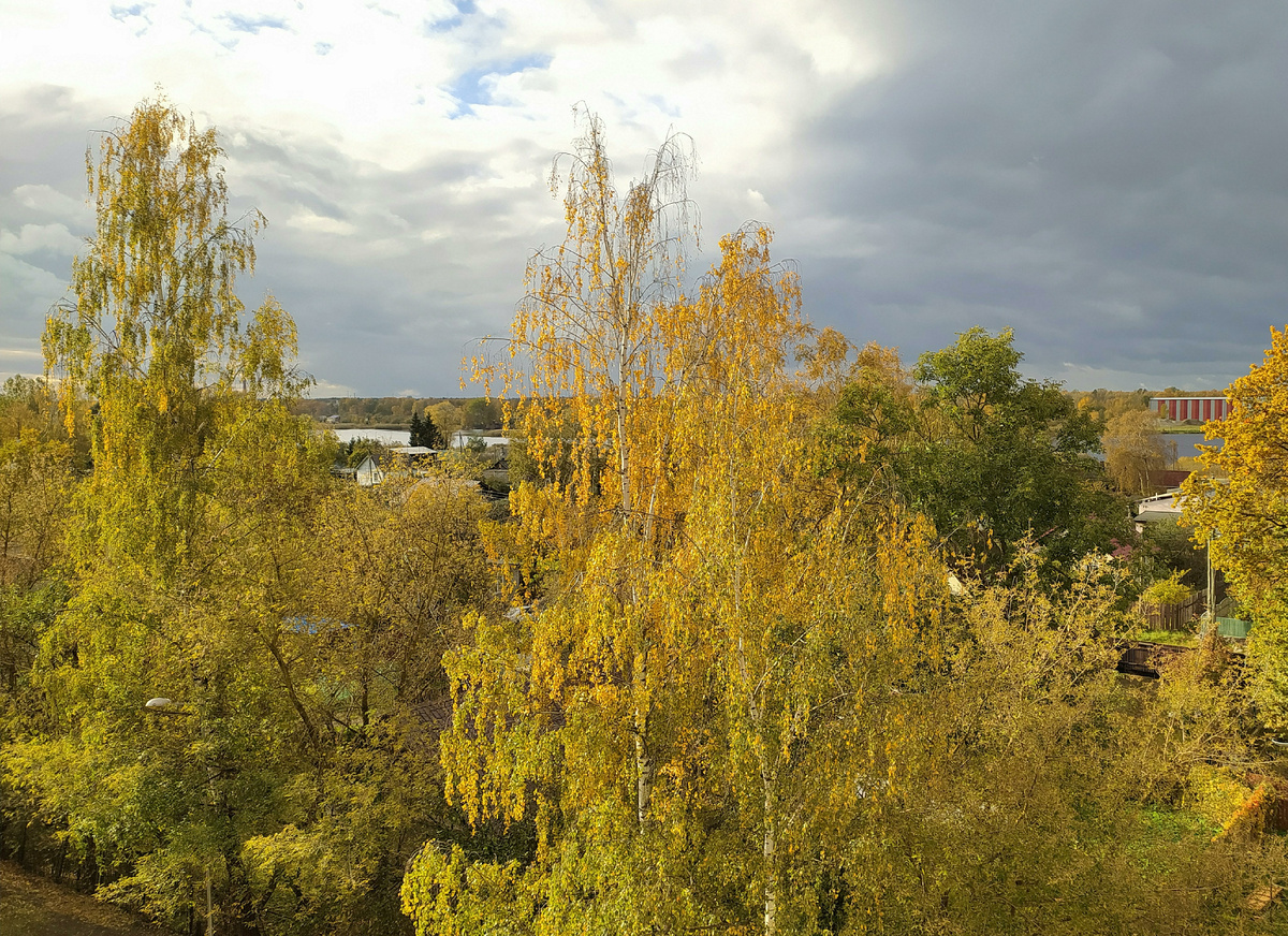 фото:Victor Lisitsyn/Global Look Press