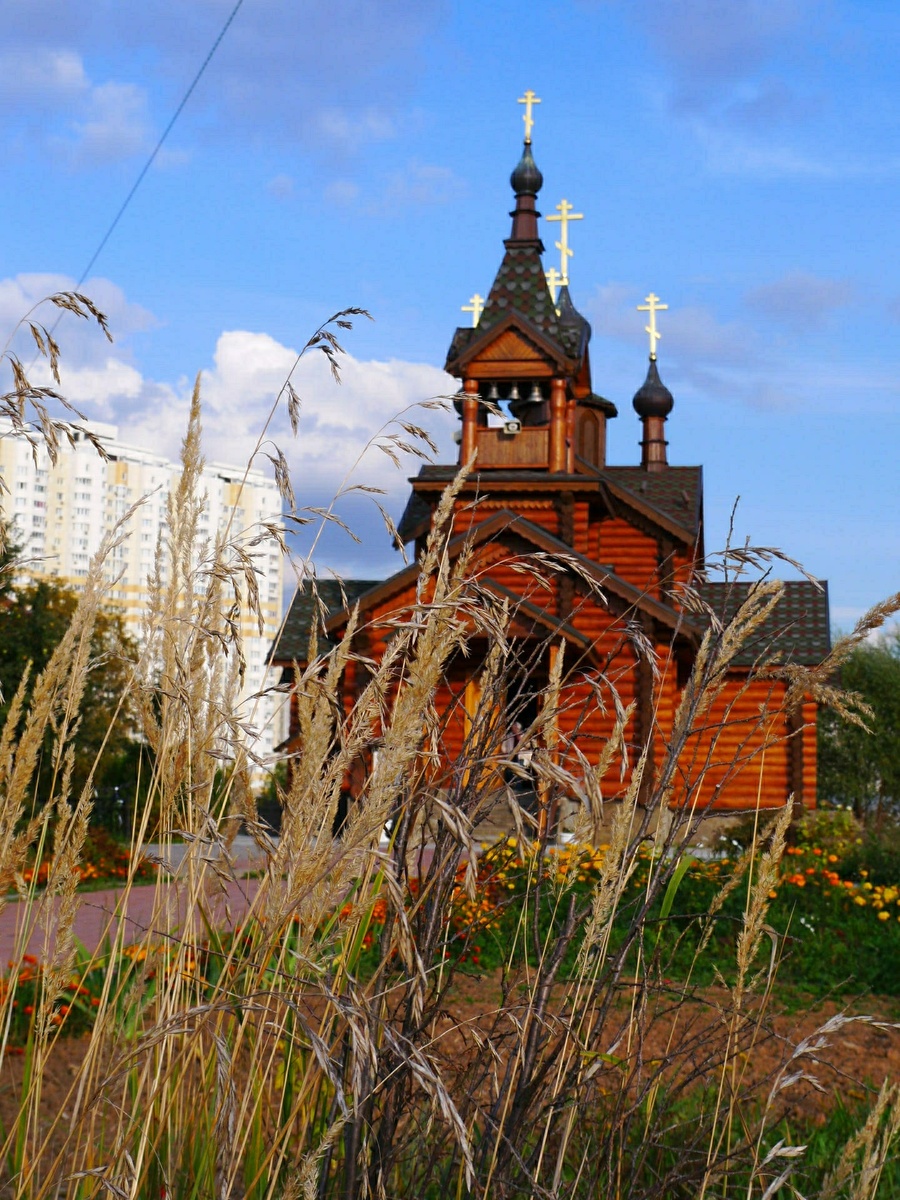 фото:Roman Denisov, Роман Денисов/Global Look Press