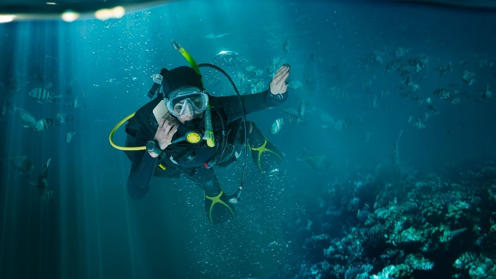     Фото: Nomad_Soul/Shutterstock/FOTODOM