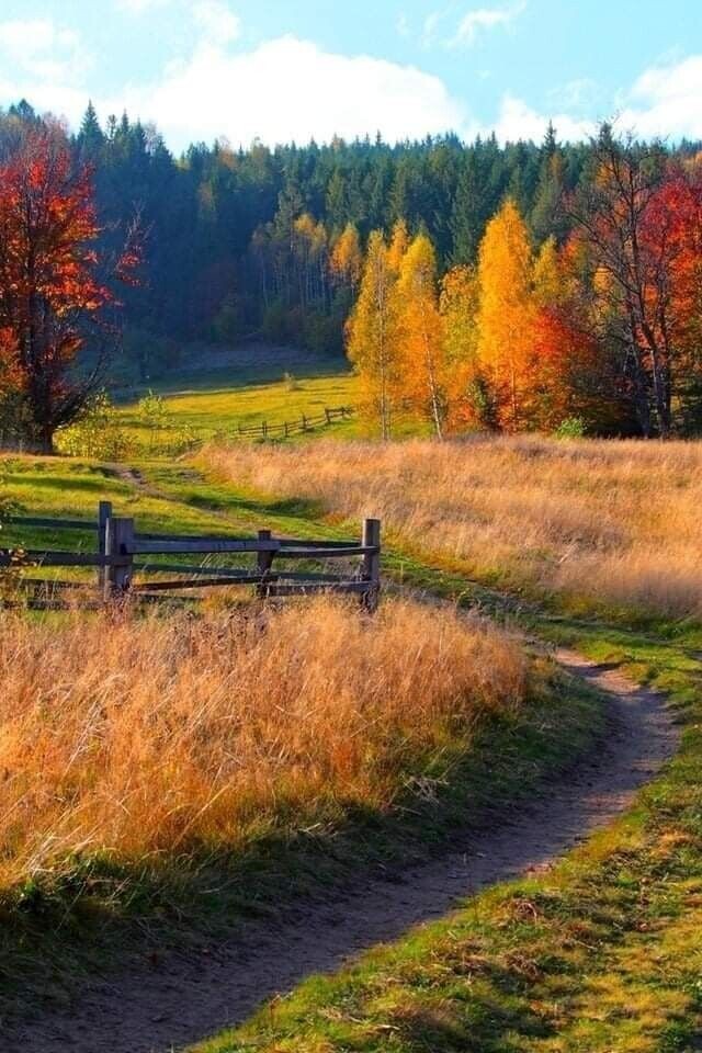 🌏☀️ Пришла осень ...🍁✍️