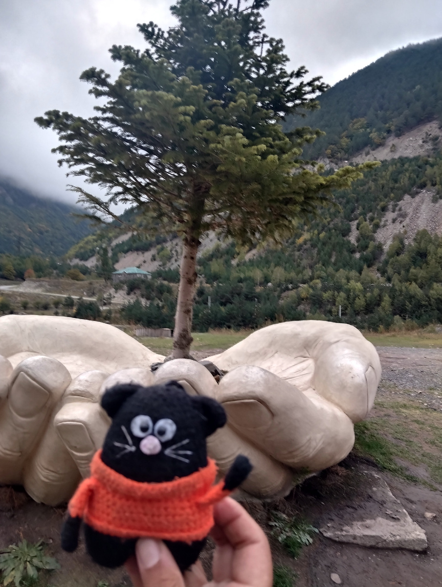 Походный Кот счастлив