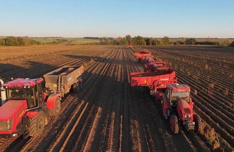    Фото: Минсельхоз Чувашской Республики
