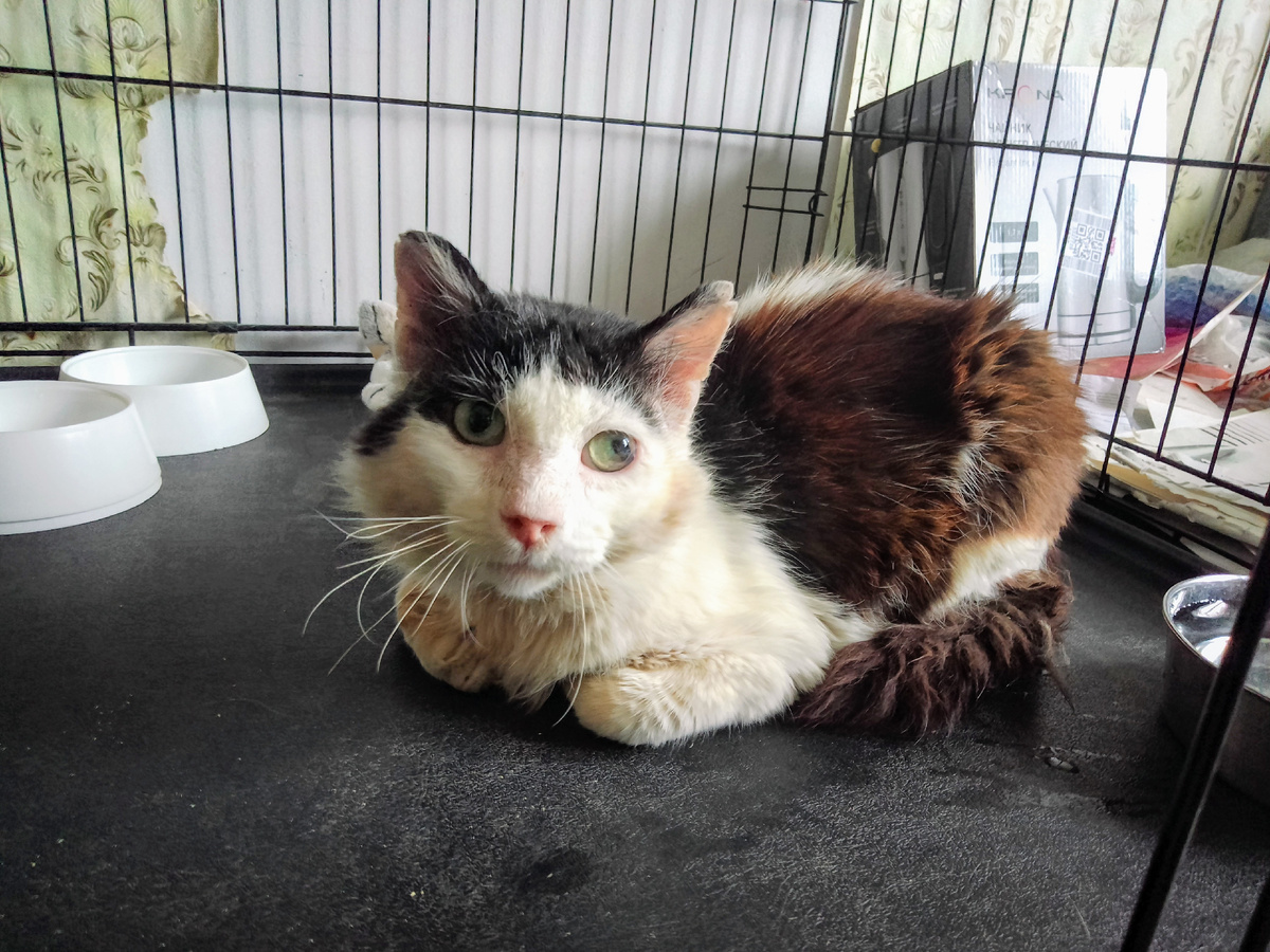 У нас дома сегодня