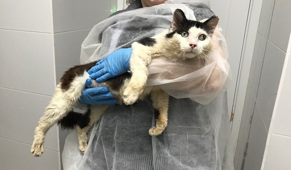 Вот так на руках сидим