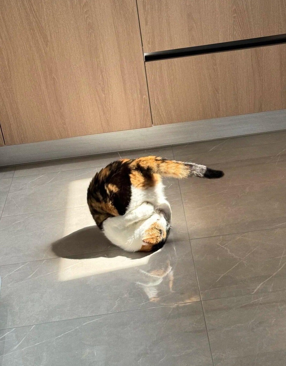 Источник: redd.it