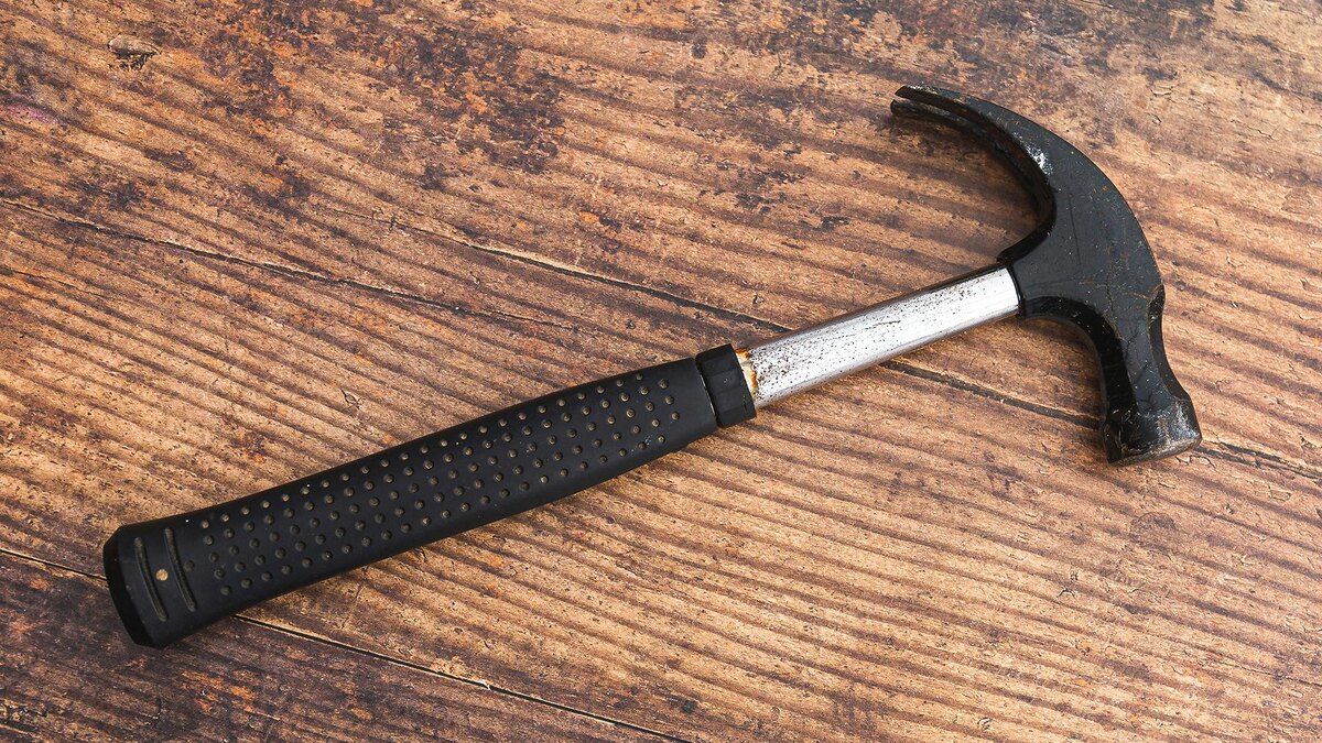    Фото: unsplash.com