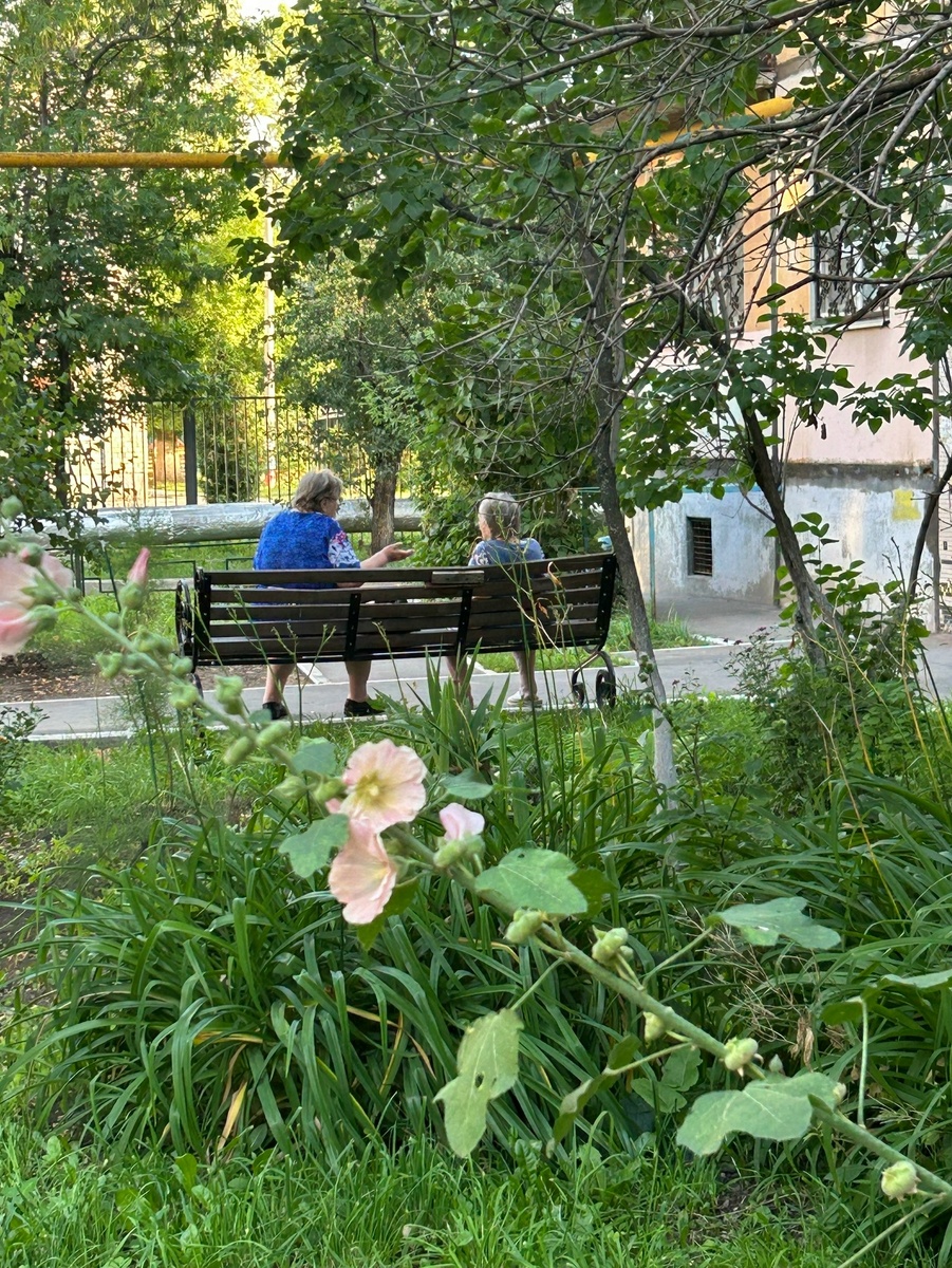    Фото: Марина Куцина