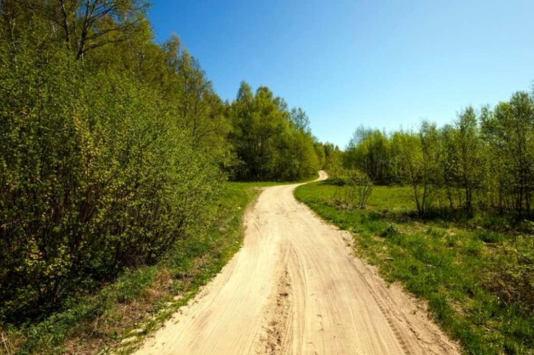 Гугл изображения. 