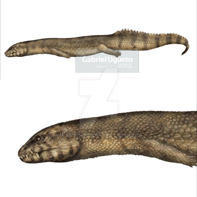 Ванклевия от Габриэля Угуэто.