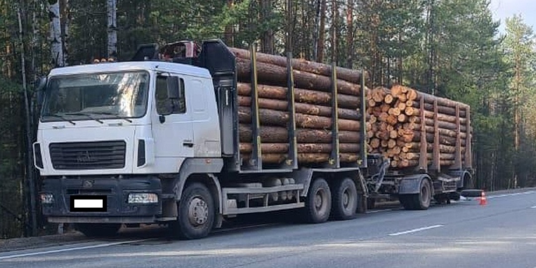 Задержан водитель грузовика, наехавшего на шофера в Свердловской области