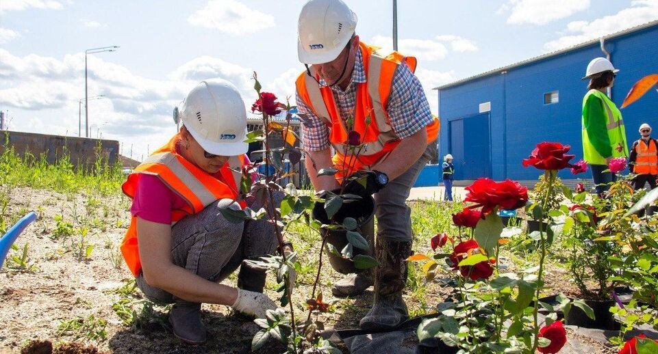    Министерство по содержанию территорий и государственному жилищному надзору МО