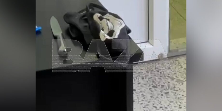    Фото: телеграм-канал Baza