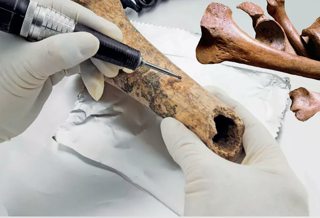 Радиоуглеродное датирование: анализ образцов древних костей в лабораторных условиях