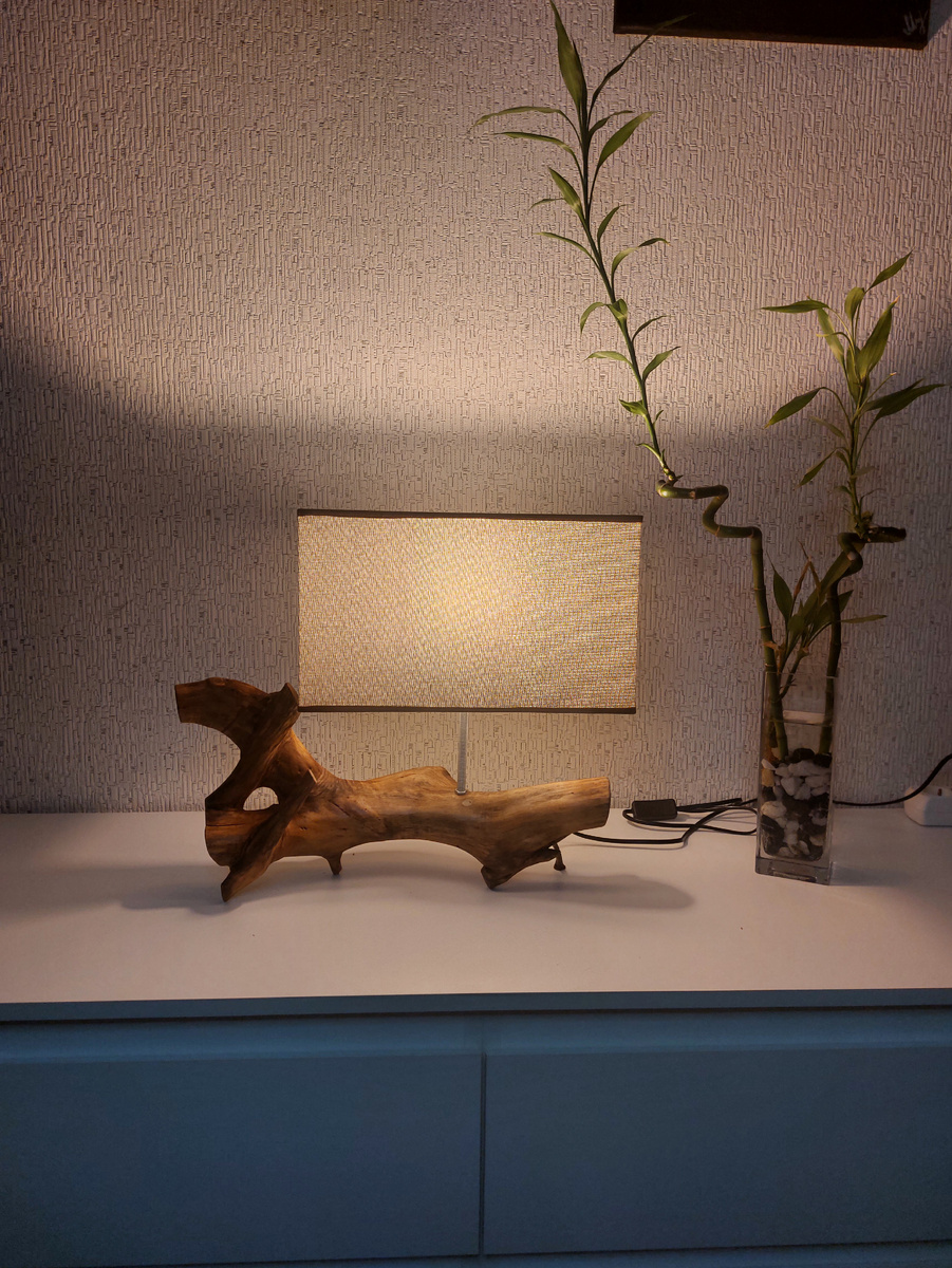 Авторский деревянный светильник Pol Ouel