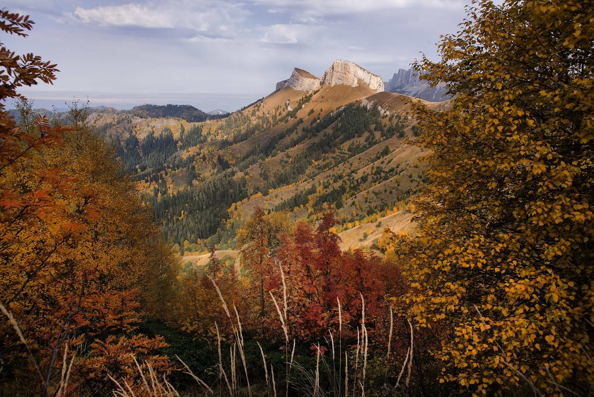 Большой Тхач — горный массив на водоразделе рек Малая Лаба и Белая, расположен на Западном Кавказе, на границе республики Адыгея и Краснодарского края. Часть массива, расположенная на территории Адыгеи, входит в состав природного парка «Большой Тхач», включённого в 1999 году в список Всемирного наследия ЮНЕСКО
