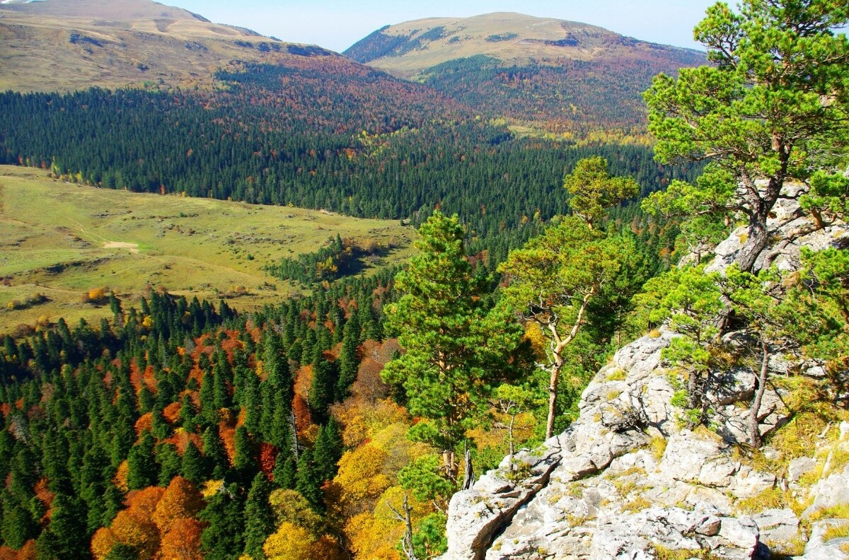 Плато расположено преимущественно в Республике Адыгея, с частичным выходом на территорию Краснодарского края (Майкопский и Апшеронский районы). Средняя высота — около 2000 метров над уровнем моря, максимальная — до 2200 метров. Площадь — примерно 800 км². Название "Лаго-Наки" происходит от адыгейского "Лэгъо-Накъ", что переводится как "возвышенность без растительности" — здесь действительно мало деревьев и кустов, но весной плато покрывается яркими цветами, а летом — душистыми травами и разнотравьем