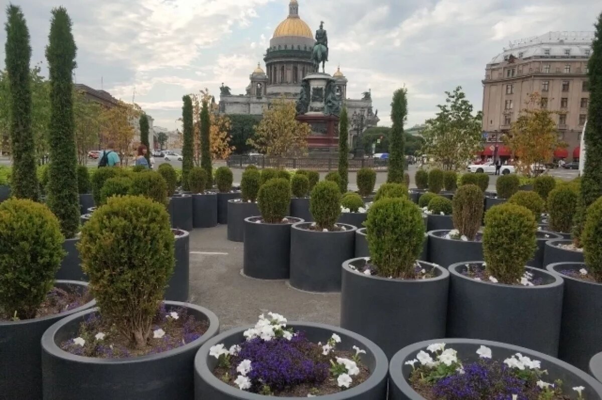    Сад-трансформер на Синем мосту готовятся демонтировать на зиму