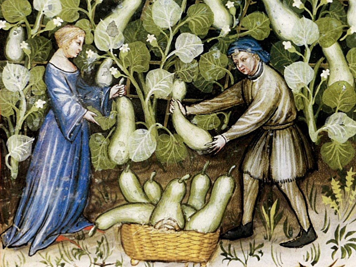 Фрагмент миниатюры «Сбор тыкв», 1390 год.