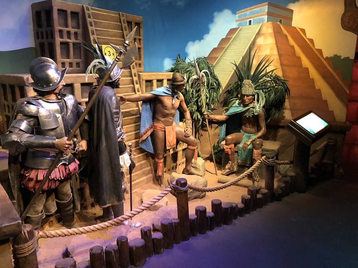 фото: wikimedia.org/Martyn Wright/CC BY 2.0  📷
