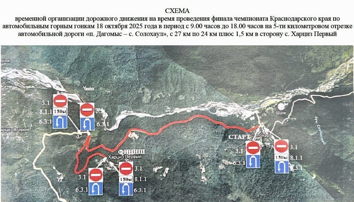    Фото: Telegram/Сочи Официальный