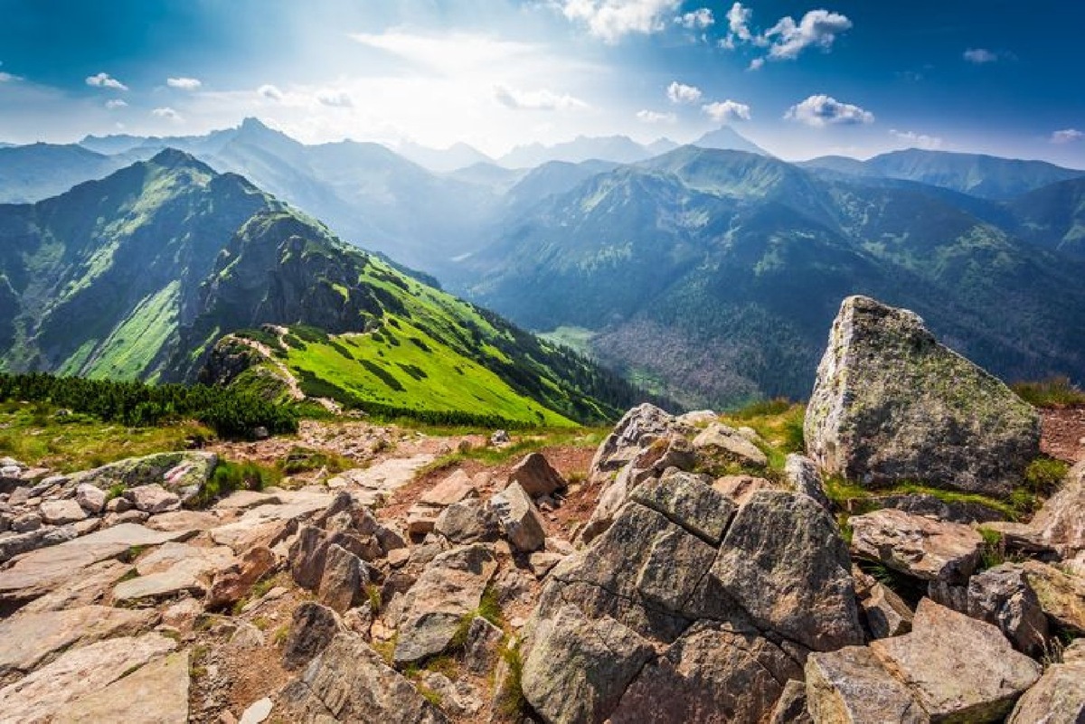    Фото: iStock/Shaiith