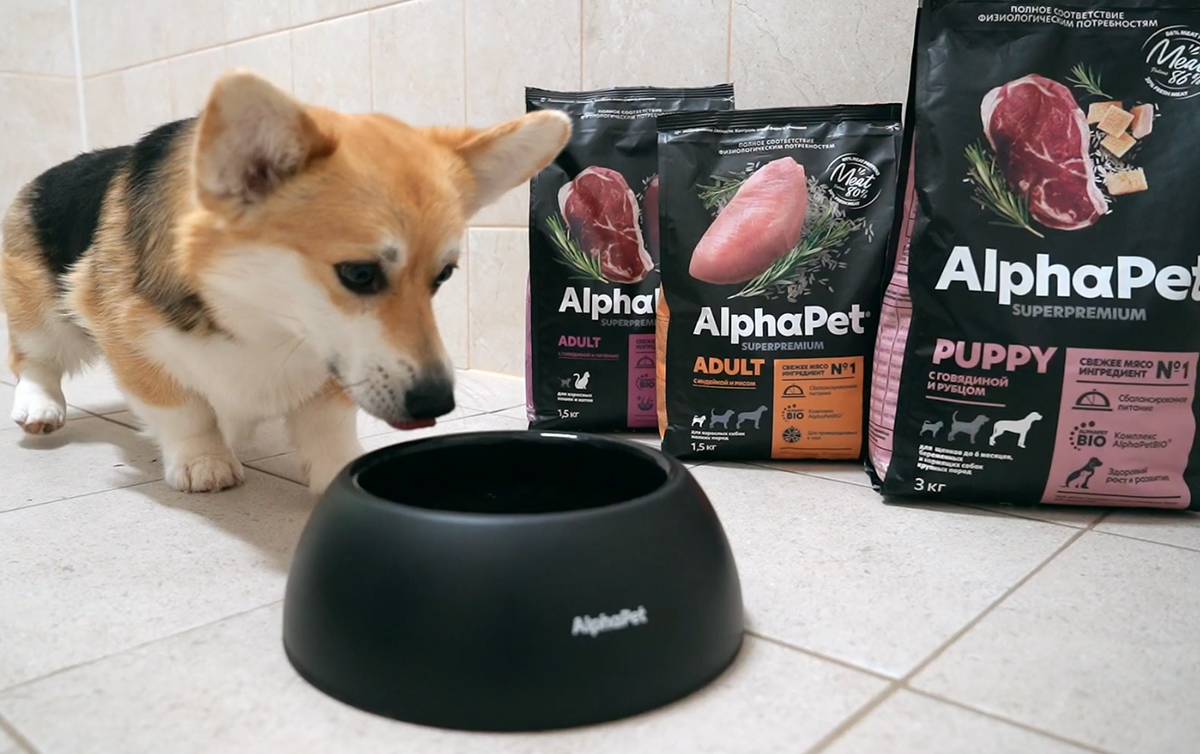 Фундамент качества: всё начинается с сырья / Изображение: AlphaPet
