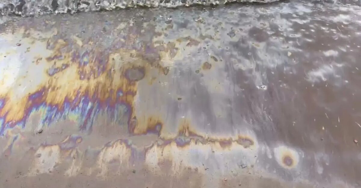    Фото: скриншот из видео пресс-службы Северо-Западного Роспотребнадзора.