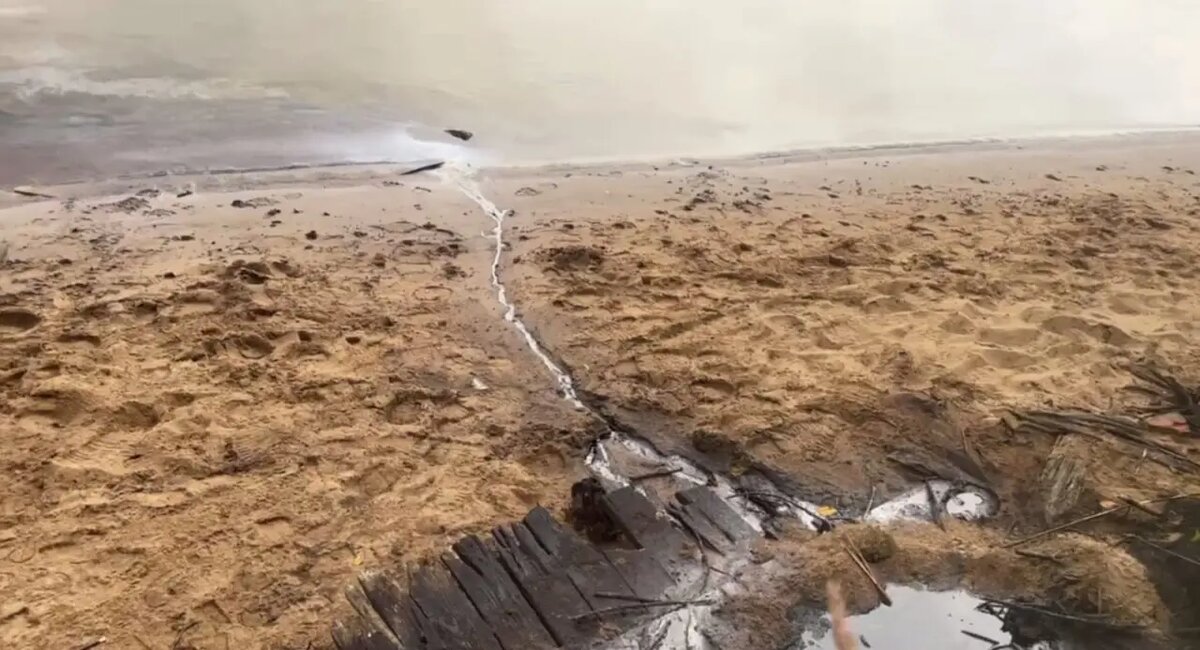    Фото: скриншот из видео пресс-службы Северо-Западного Роспотребнадзора.