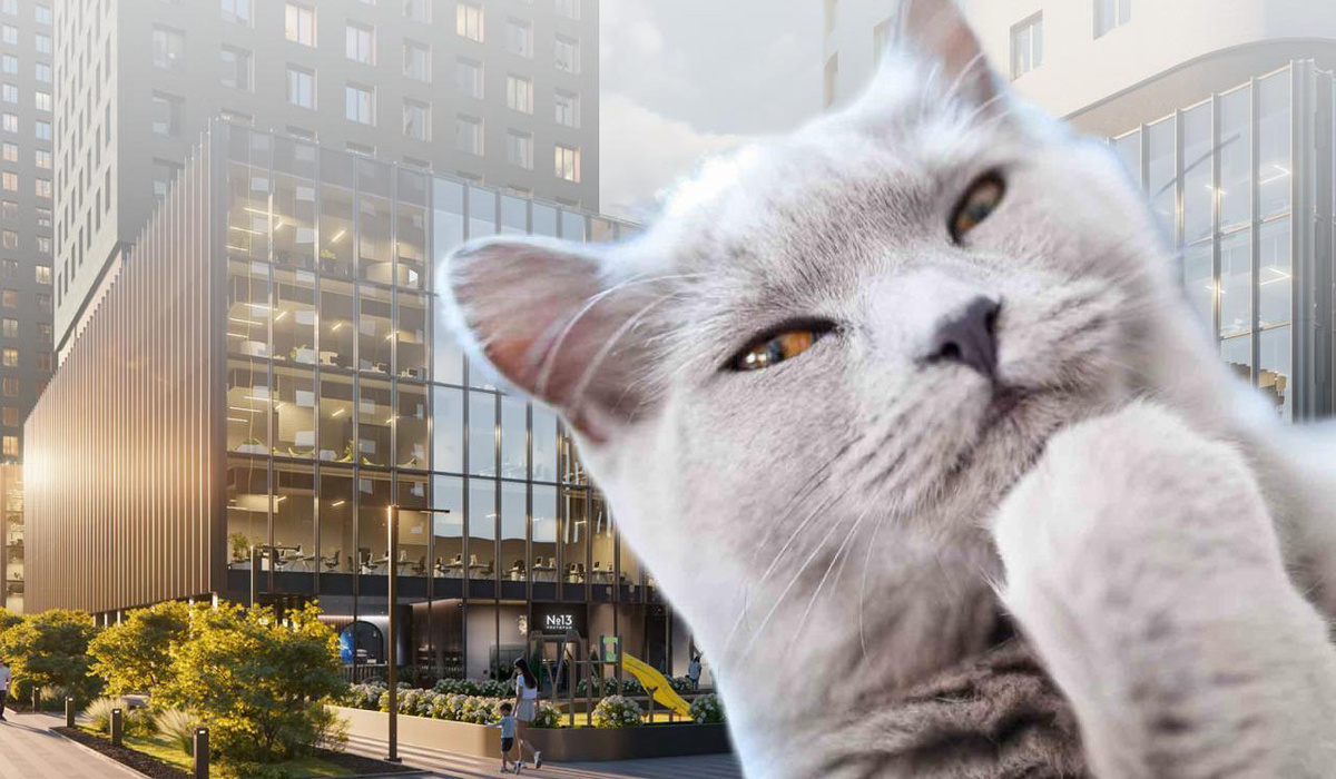 Инвестиционная стратегия команды Простора: от 13 до 45 миллионов за 8 лет — Простор