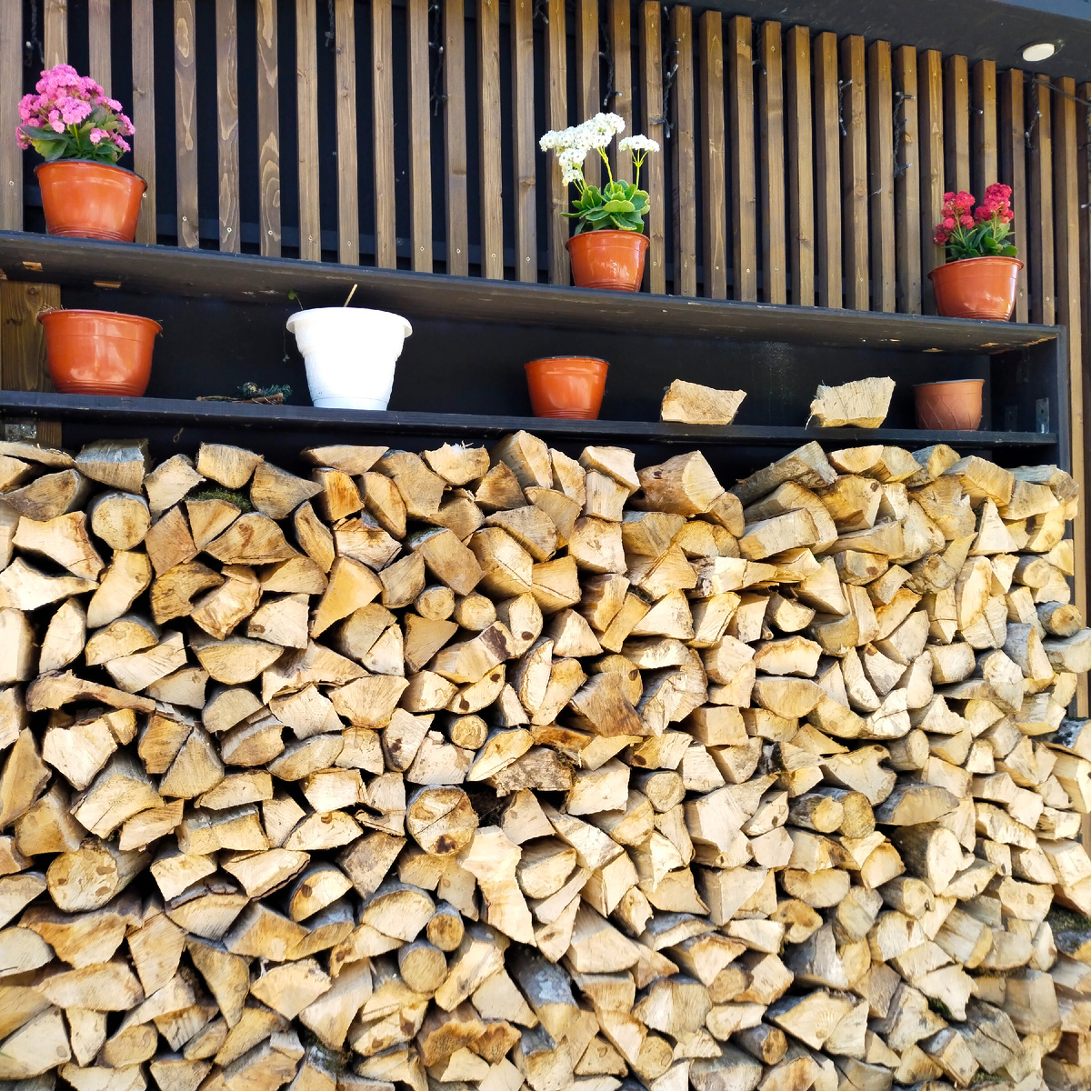 Фото автора канала