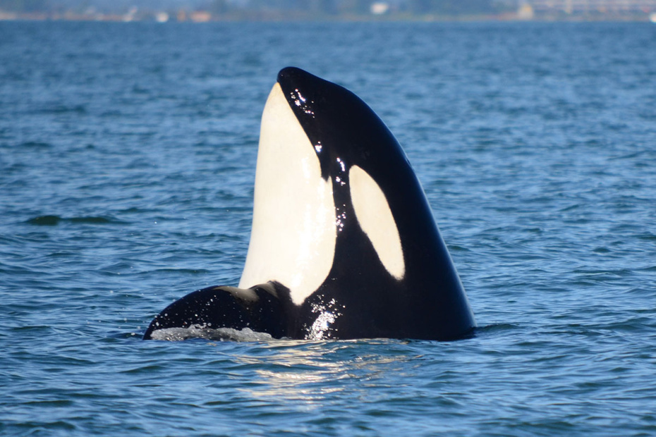    Cover Images/Keystone Press Agency/Global Look Press