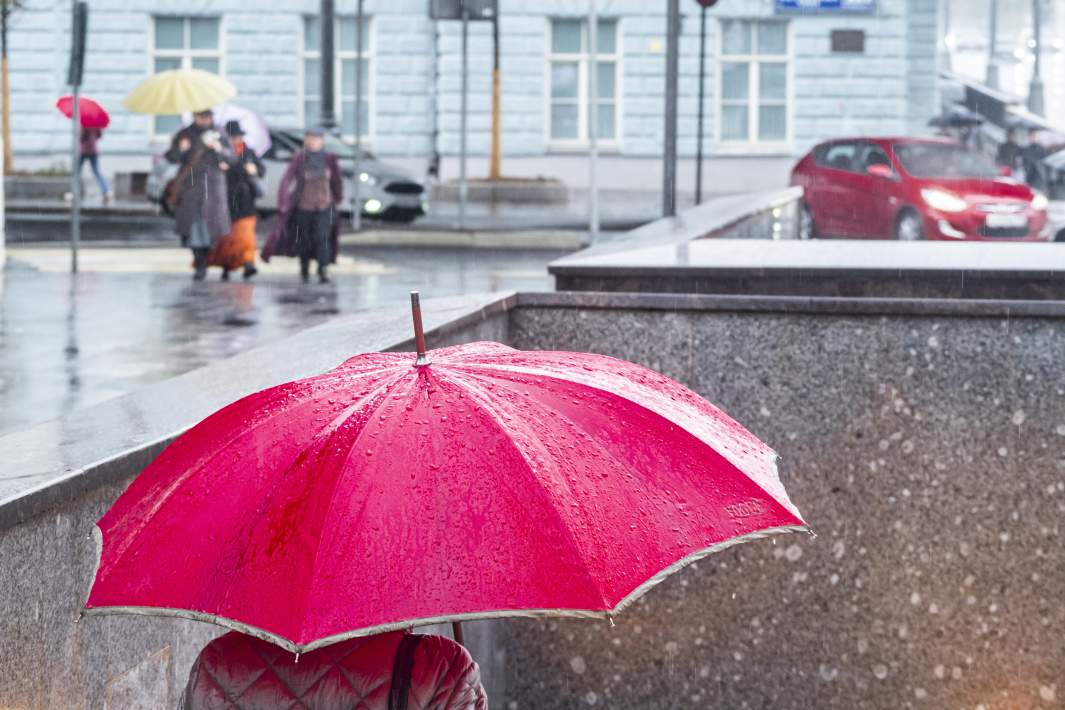 Фото: ИЗВЕСТИЯ/Константин Кокошкин