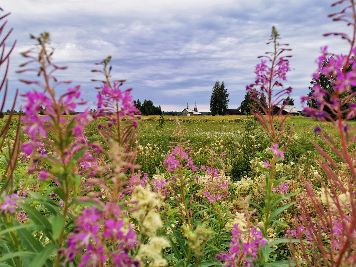 Очень живописно