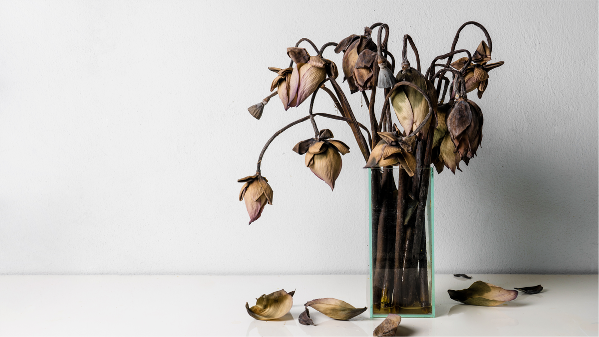 Источник: artpritsadee